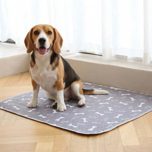 2 Pack NovaDog Pup Pad