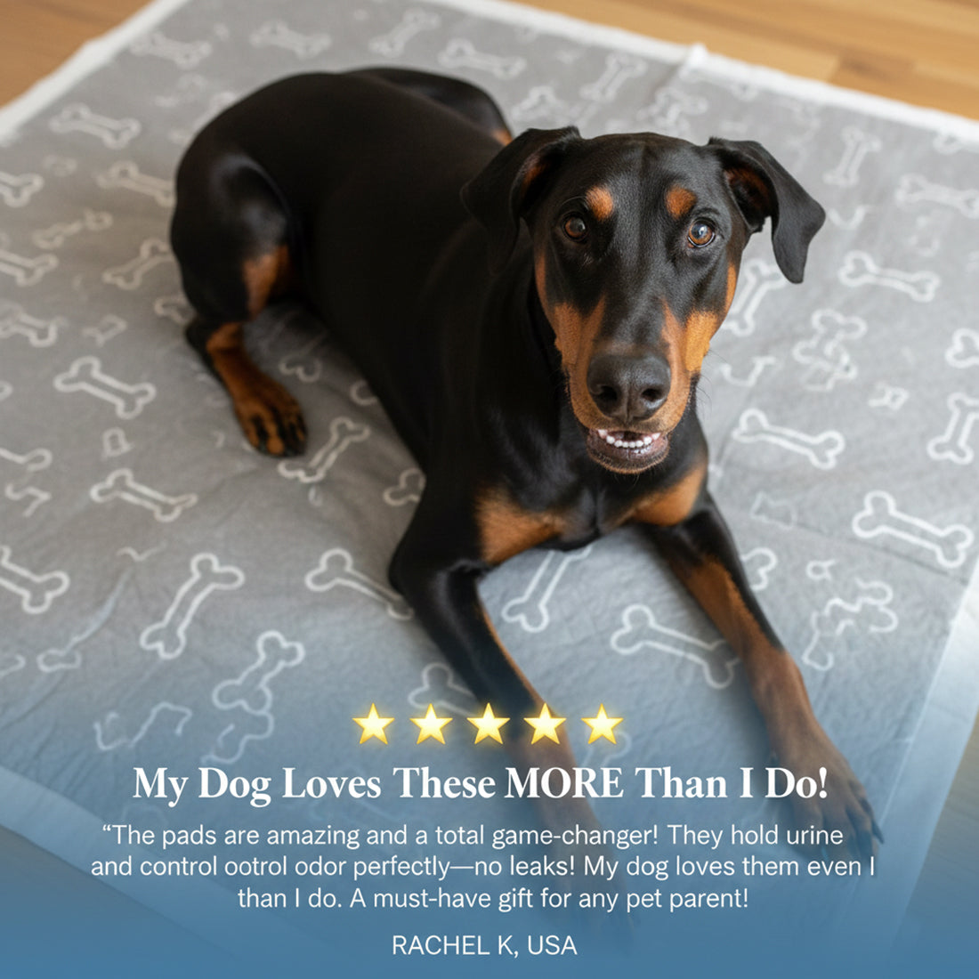 3 Pack NovaDog Pup Pad